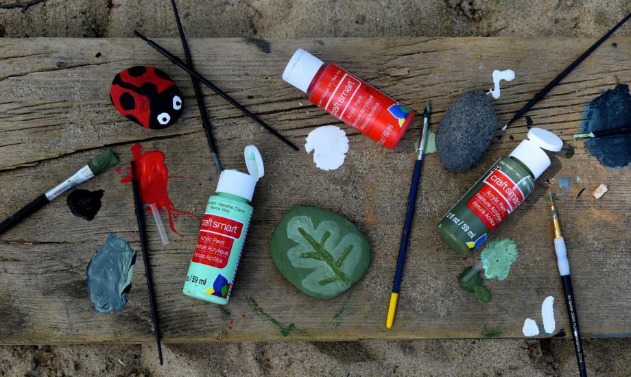 Image of paint and brushes, and rocks painted like a ladybird and leaf